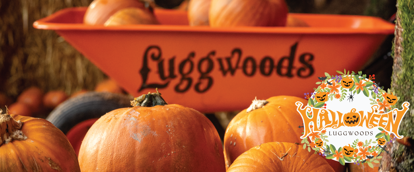 Luggwoods-Website-Homepage-Halloween